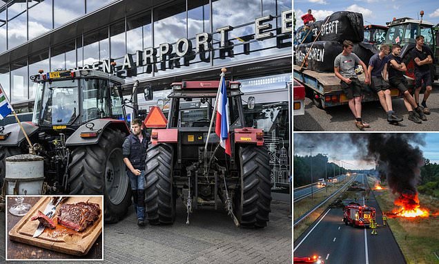 Een Kijkje op de Populaire Chicken Road Casino Gokspel in Nederland in Netherlands
